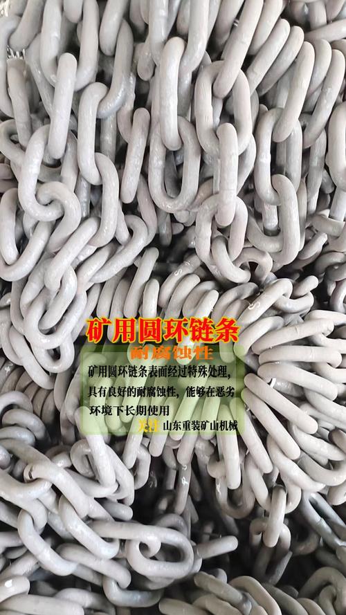 循环结构,实现对于物料的持续输送,山东重装矿山机械链条厂多规格定制